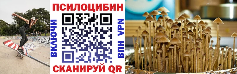 Псилоцибиновые грибы мухоморы  Купить закладки  Нестеров 